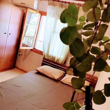 Green Vila Ferienhaus Sozopoli