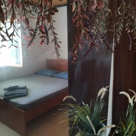 Green Vila * סוזופולי