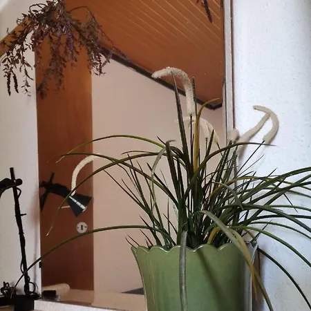 Green Vila בית נופש *