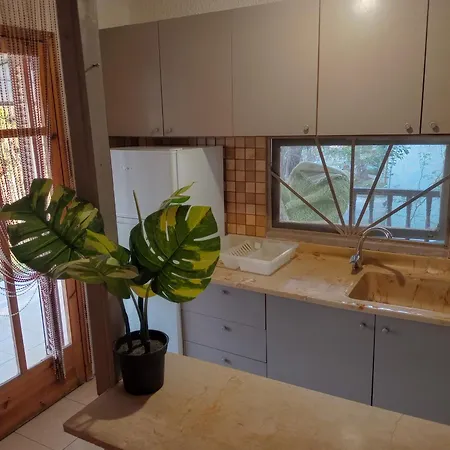 Green Vila بيت للعطل